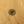 Ercol Elm & Beech Pebble Nest of Tables – 0607k