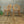 mid_century_vintage_ercol_windsor_carver_chair