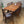 X6 Mid Century Younger Dining Chairs - 1709a
