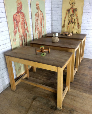 Vintage School Laboratory Table **Un-Restored**