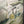 Mid Century Abstract Framed Print