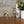 vintage_mid_century_brass_deer.1
