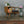 vintage_chippy_heath_telephone_seat.