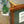 vintage_display_board_case