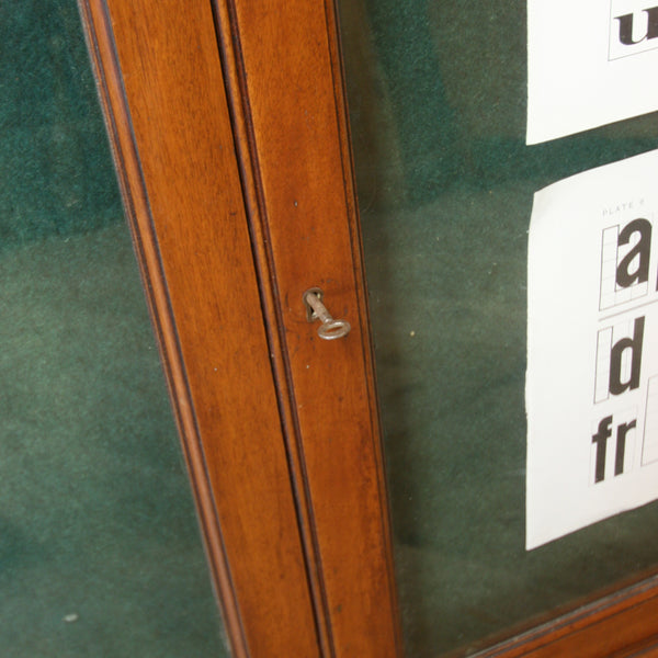 vintage_display_board_case