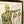 Vintage Framed Elementary Physiology Anatomical Chart 'No.1 Skeleton'
