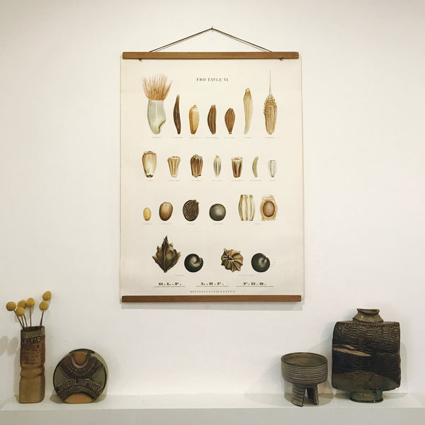 Danish Vintage Botanical Wall Chart #6 (+ optional magnetic frame)