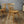 vintage_ercol_449_bow_back_dining_chairs