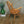 vintage_ercol_elm_beech_ercolani-chairs