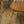 vintage_ercol_goldsmith_dining_chairs