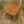 vintage_ercol_windsor_mid_century_chairs
