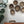 *LARGE* Vintage Ethnic African Binga Basket #3