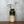 vintage_heinz_siery_scheurich_keramik_german_ceramic_vase