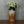 vintage_heinz_siery_scheurich_keramik_german_ceramic_vase