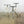 X3 Vintage Industrial Steel Medical Stools