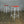 X4 Frank Guille Kandya Program Stools