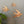 Brass Mid Century Flying Swallows #SET2