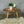 Ercol Mid Century Drop Leaf Coffee Table