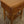 Mid Century G-Plan Oak Bedside / Side Table