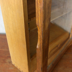 Small Vintage Oak Curiosities / Display / School Cabinet