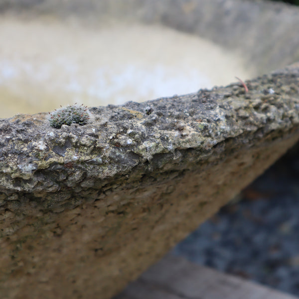 vintage_mid_century_willy_guhl_retro_concrete_conical_garden_planter