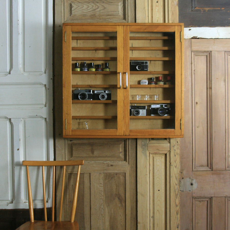vintage_mid_century_school_laboratory_science_display_cabinet.4