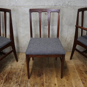 X6 Mid Century Younger Dining Chairs - 1709a