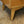 vintage_oak_g_plan_brandon_vanity_drawers