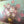 vintage_oil_flowers_canvas_still_life_robert_cox