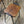 vintage_reclaimed_iroko_school_lab_stools