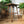 vintage_rustic_boho_bamboo_cane_side_lamp_table