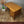 Petite Mid Century Rustic Oak Abbess School Desk - 2511d