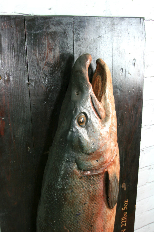 Vintage Plaster Cast Salmon for an Angling fan, Restaurant or Retail Display