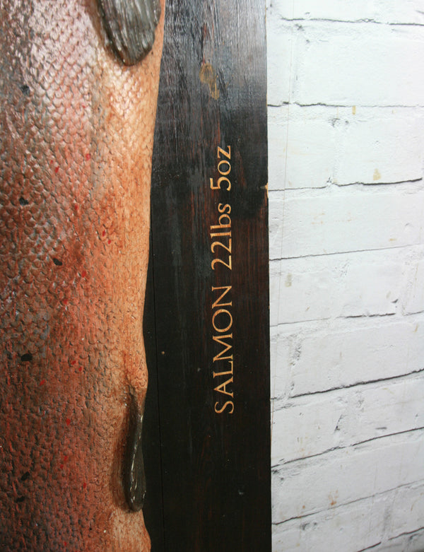 Vintage Plaster Cast Salmon for an Angling fan, Restaurant or Retail Display