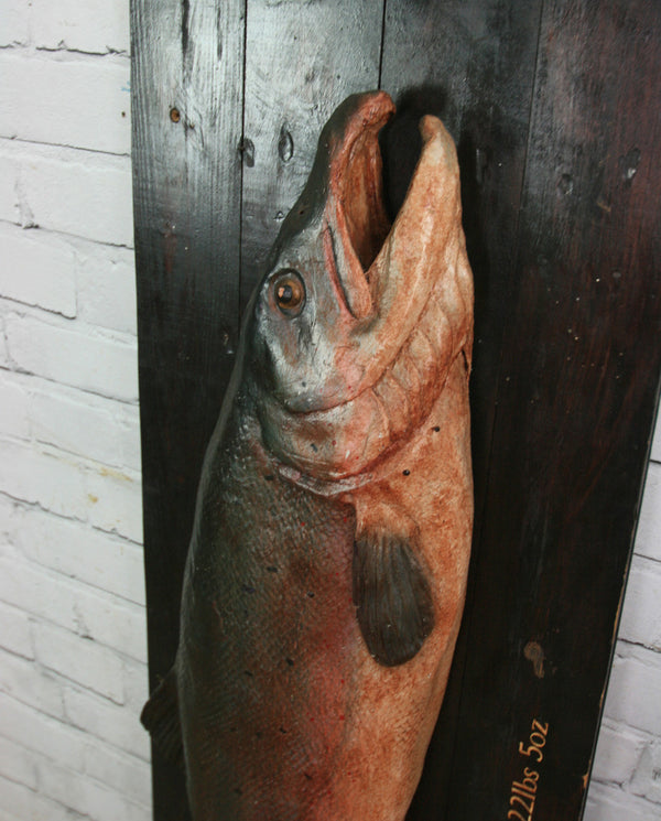 Vintage Plaster Cast Salmon for an Angling fan, Restaurant or Retail Display