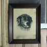 Original Vintage Framed & Signed St Bernard Illustration