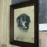 Original Vintage Framed & Signed St Bernard Illustration