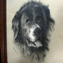 Original Vintage Framed & Signed St Bernard Illustration