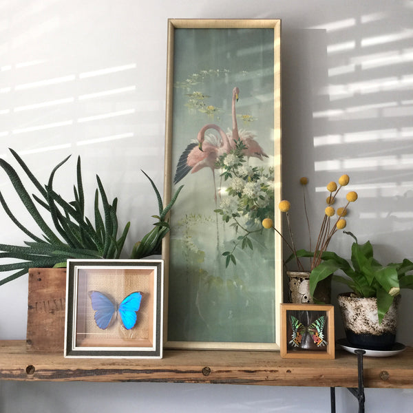 vintage_tropical_flamingos_pastel_pink_grey_picture