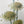 vintage_valdimir_tretchikoff_chrysanthemums_mid-century_framed_picture_print
