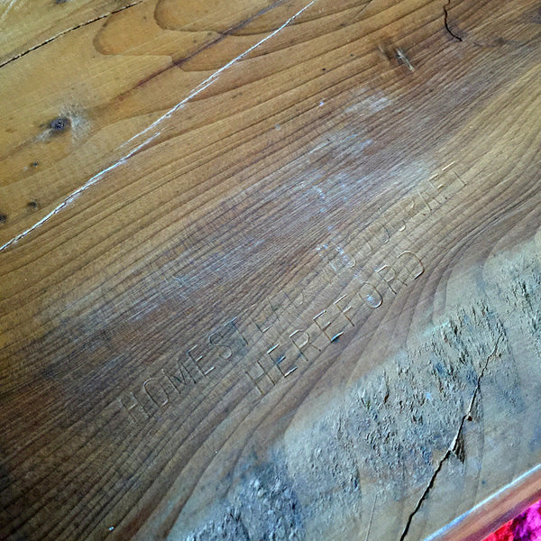 Mid Century Walnut Live Edge Coffee Table