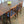 **For Jolene** Vintage Younger Fonseca Extending Dining Table & 6 x dining chairs all newly upholstered
